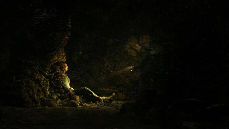 The Last of Us season 2 episode 5 just introduced an even scarier effect of the Cordyceps virus