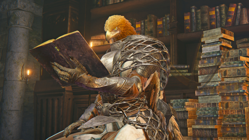 If you want to play Elden Ring Nightreign in a duo, the Seamless Co-op mod is already out, dead simple to use, and it won't mess up your vanilla save