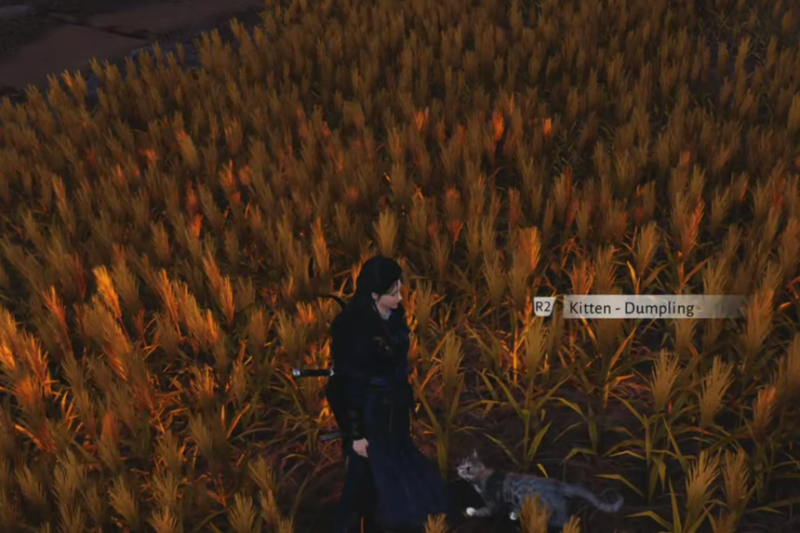 All Cat Play Locations in Where Winds Meet