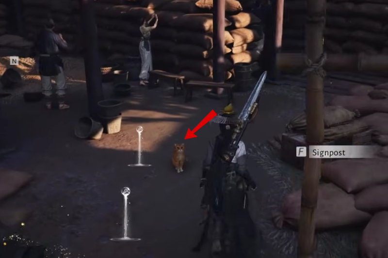 All Cat Play Locations in Where Winds Meet