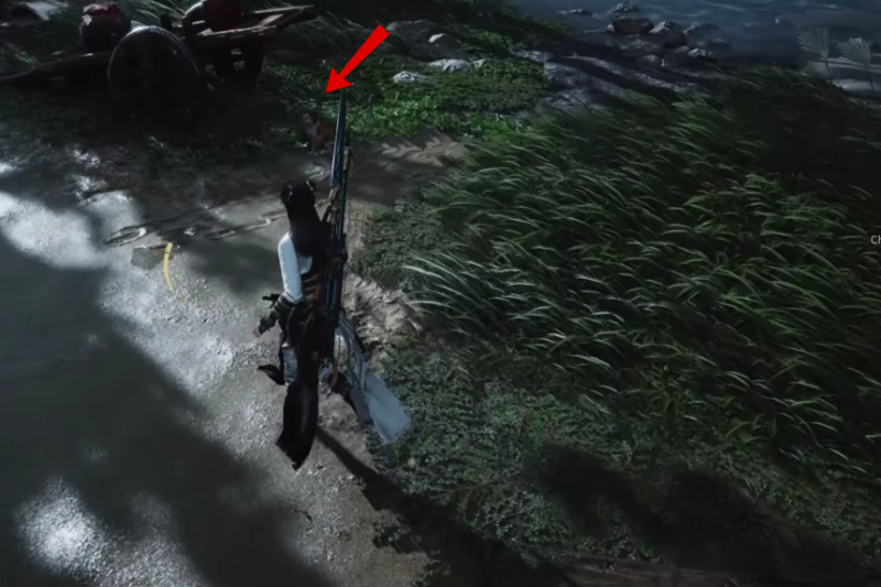 All Cat Play Locations in Where Winds Meet