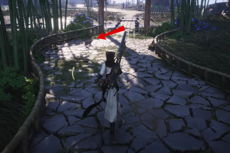 All Cat Play Locations in Where Winds Meet