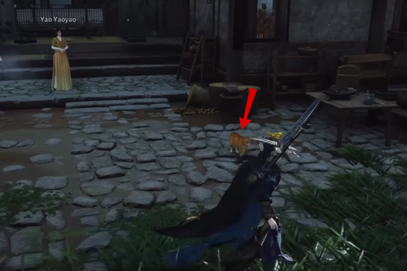 All Cat Play Locations in Where Winds Meet