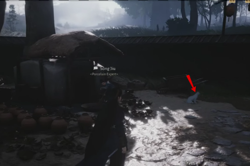 All Cat Play Locations in Where Winds Meet