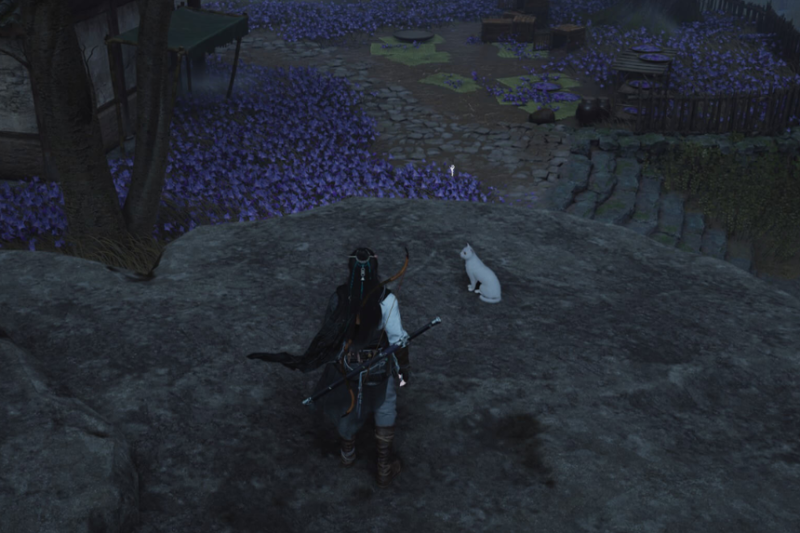 All Cat Play Locations in Where Winds Meet