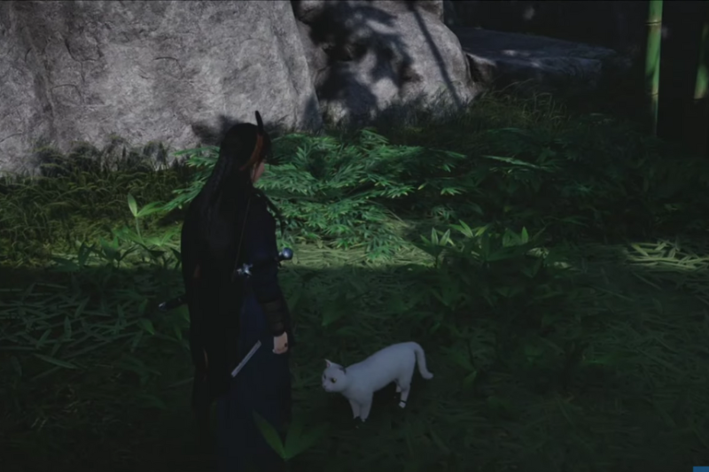 All Cat Play Locations in Where Winds Meet