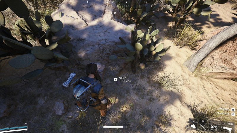 Where to find Prickly Pears in Arc Raiders