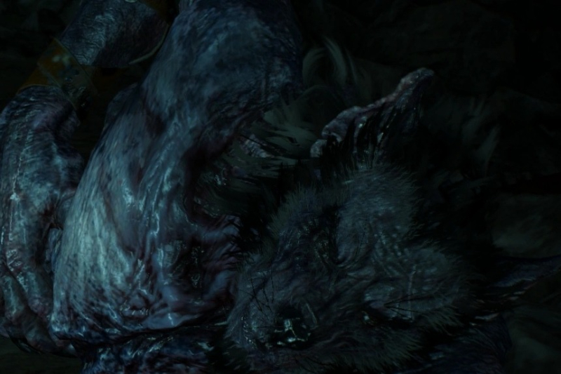 All Contract Locations in The Witcher 3 Wild Hunt