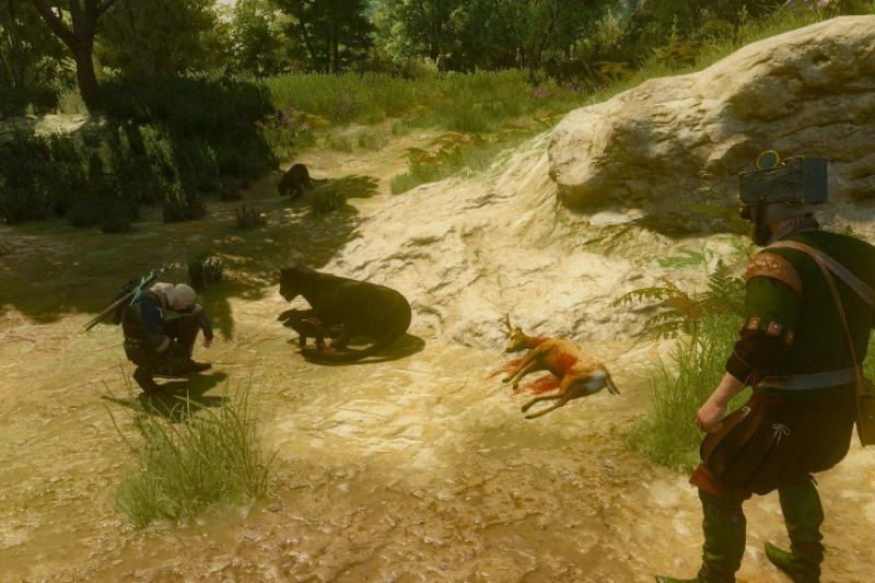 All Contract Locations in The Witcher 3 Wild Hunt