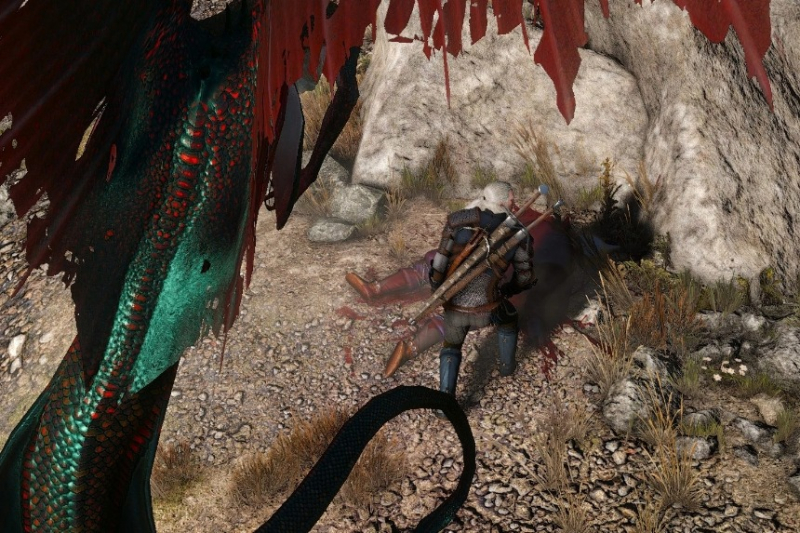 All Contract Locations in The Witcher 3 Wild Hunt