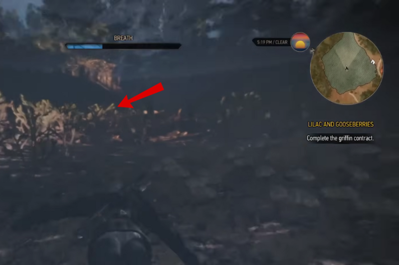 All Hidden Treasure Locations in White Orchard The Witcher 3: Wild Hunt