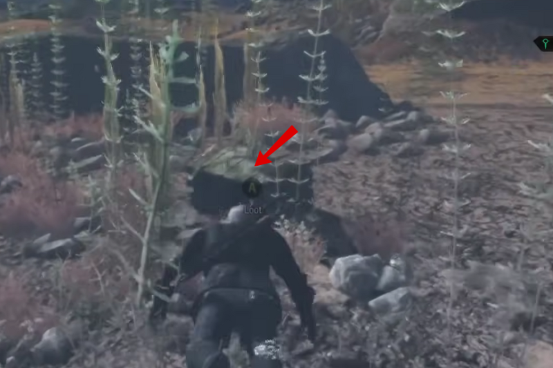 All Hidden Treasure Locations in White Orchard The Witcher 3: Wild Hunt