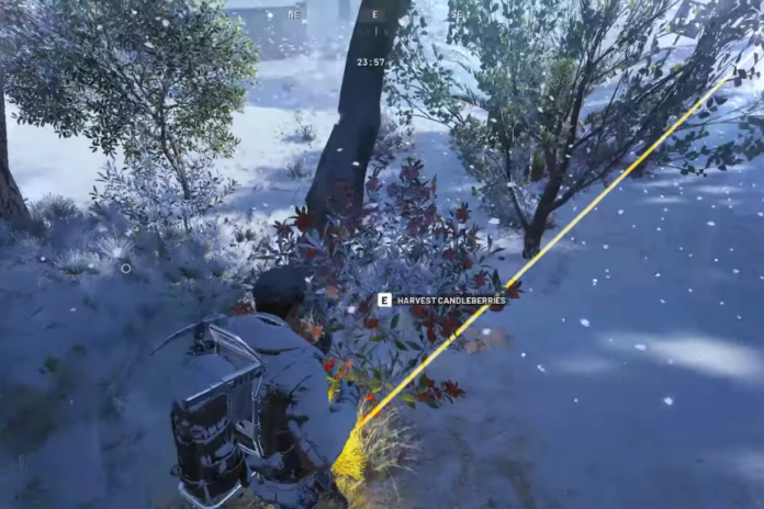 All Ways to Find Candleberries (Locations) - ARC Raiders