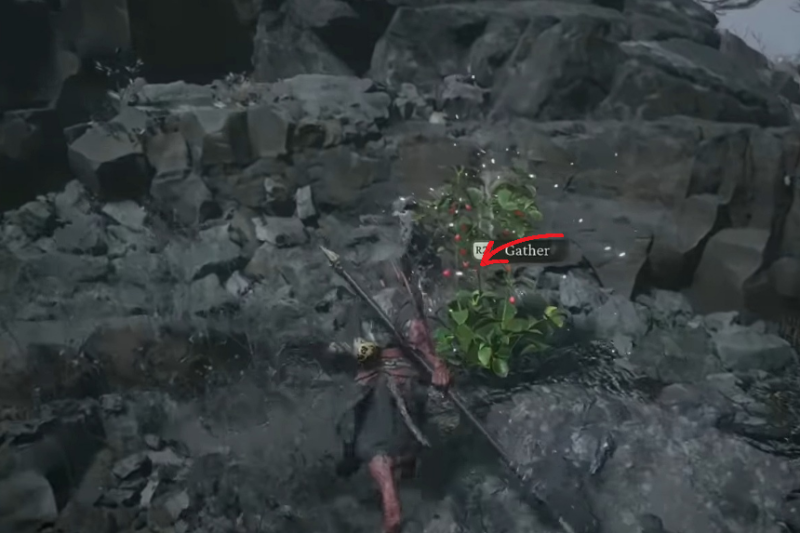 Black Myth Wukong All Seed Locations