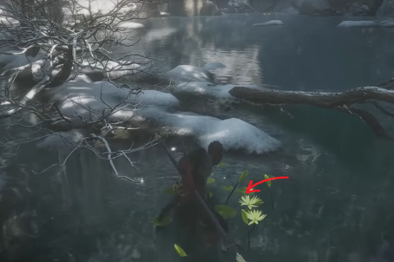 Black Myth Wukong All Seed Locations