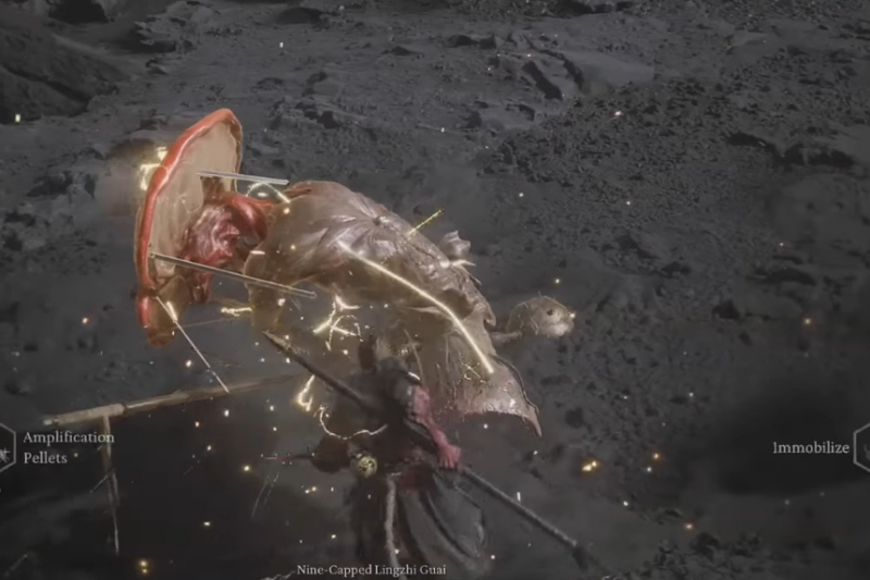 Black Myth Wukong All Seed Locations