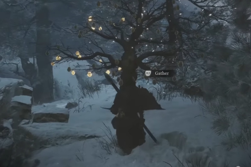 Black Myth Wukong All Seed Locations