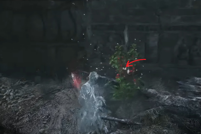 Black Myth Wukong All Seed Locations