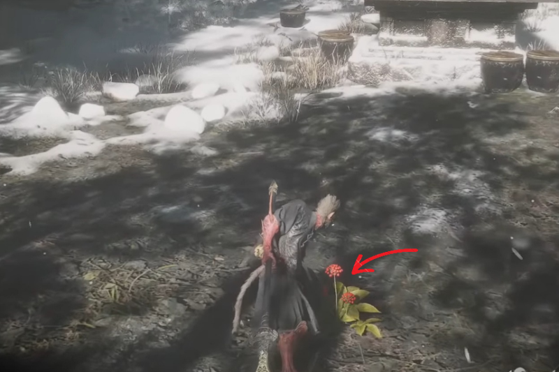 Black Myth Wukong All Seed Locations