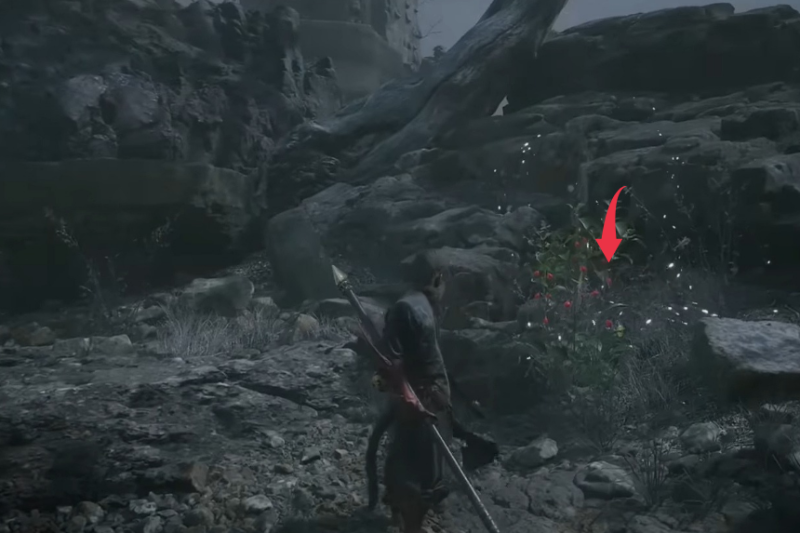 Black Myth Wukong All Seed Locations