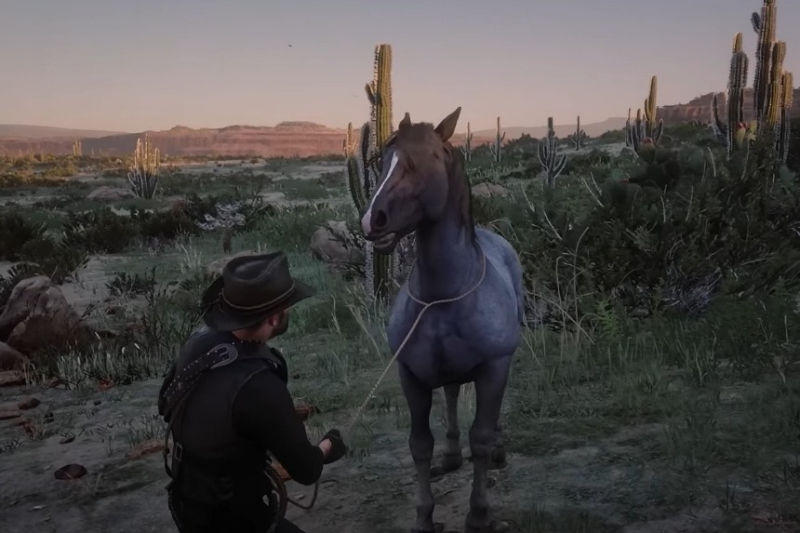 Red Dead Redemption 2 Wild Horse Breed Locations