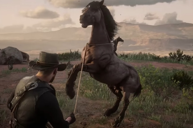 Red Dead Redemption 2 Wild Horse Breed Locations