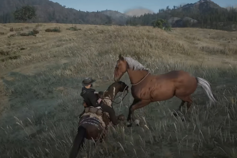 Red Dead Redemption 2 Wild Horse Breed Locations