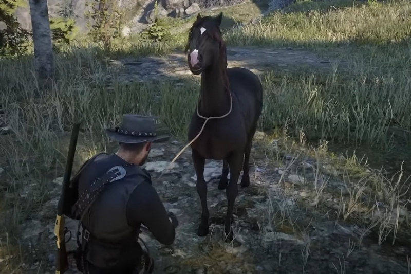 Red Dead Redemption 2 Wild Horse Breed Locations