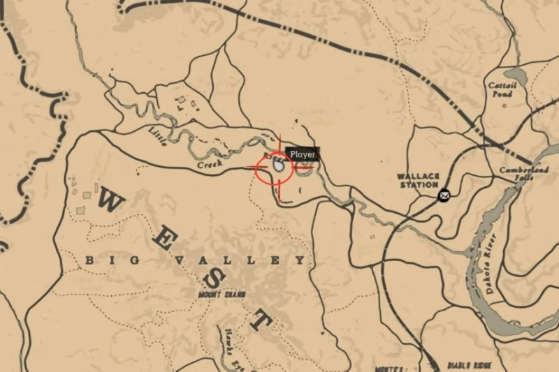 Red Dead Redemption 2 Wild Horse Breed Locations