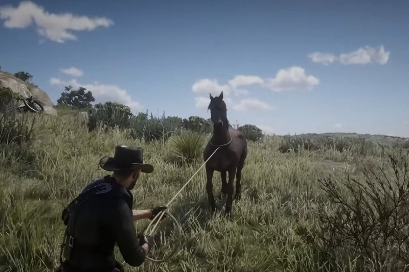 Red Dead Redemption 2 Wild Horse Breed Locations