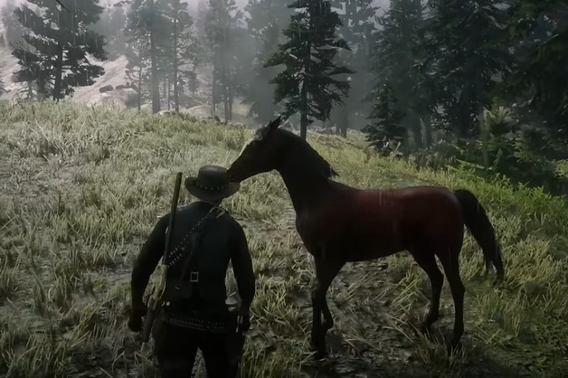 Red Dead Redemption 2 Wild Horse Breed Locations