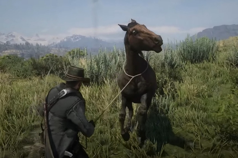Red Dead Redemption 2 Wild Horse Breed Locations