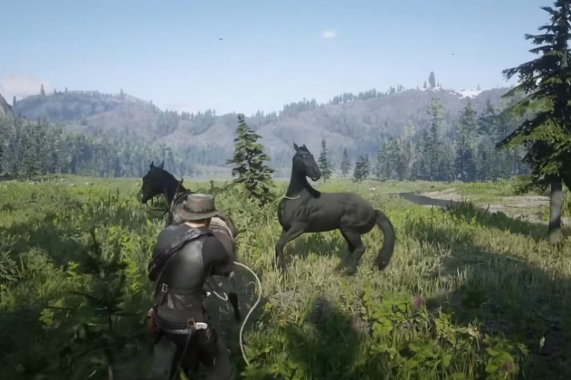 Red Dead Redemption 2 Wild Horse Breed Locations