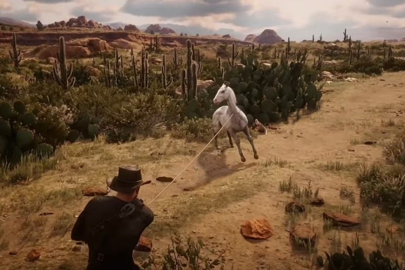 Red Dead Redemption 2 Wild Horse Breed Locations