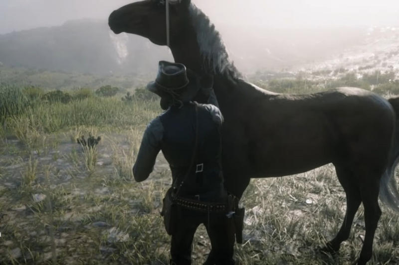 Red Dead Redemption 2 Wild Horse Breed Locations