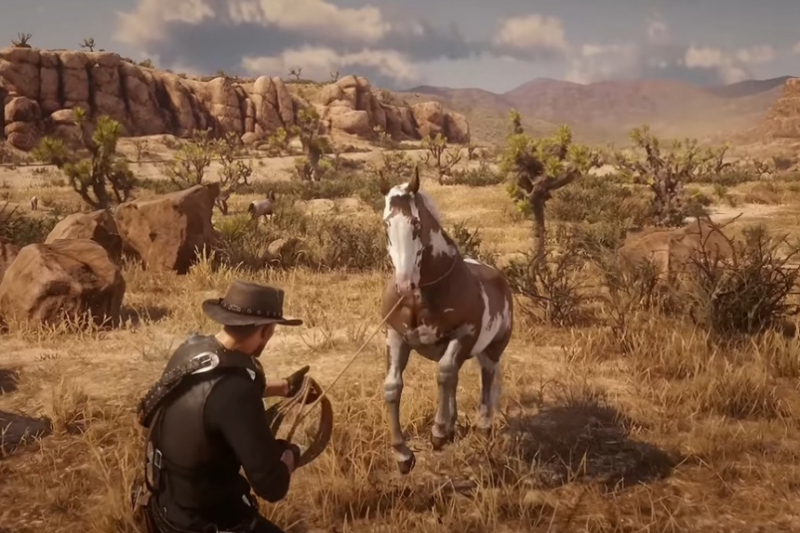 Red Dead Redemption 2 Wild Horse Breed Locations
