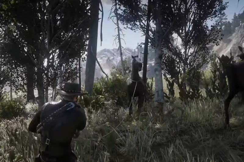 Red Dead Redemption 2 Wild Horse Breed Locations