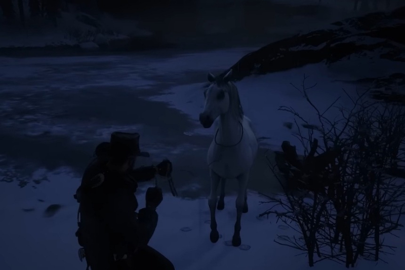 Red Dead Redemption 2 Wild Horse Breed Locations