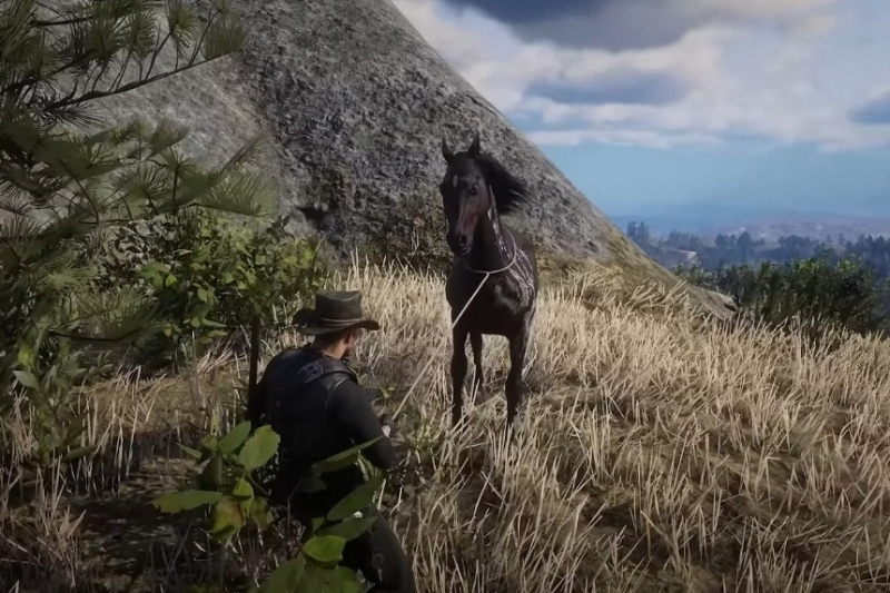 Red Dead Redemption 2 Wild Horse Breed Locations