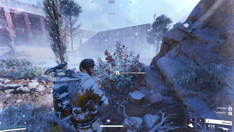 How to get Candleberries in Arc Raiders