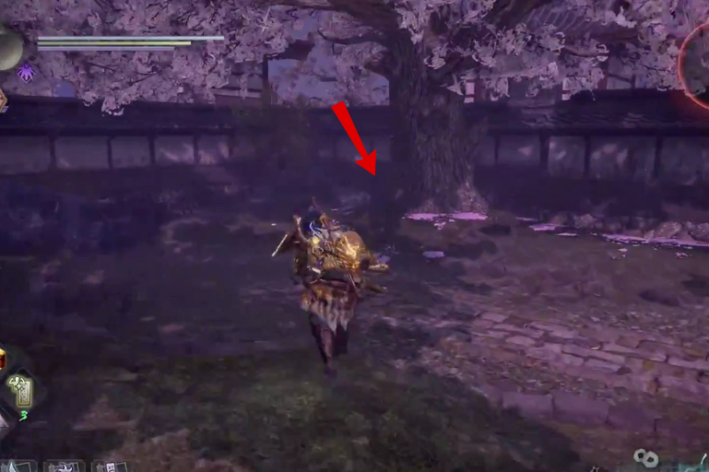 All Kodama Locations in Nioh 2