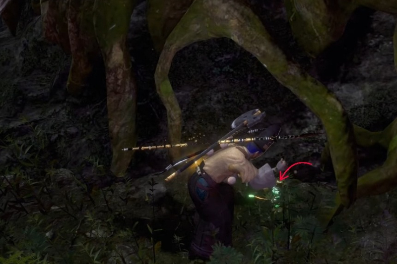 All Kodama Locations in Nioh 2