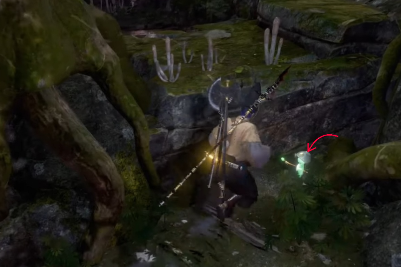 All Kodama Locations in Nioh 2