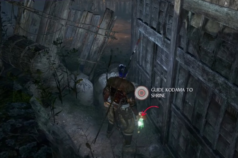 All Kodama Locations in Nioh 2