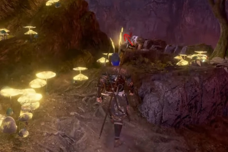 All Kodama Locations in Nioh 2