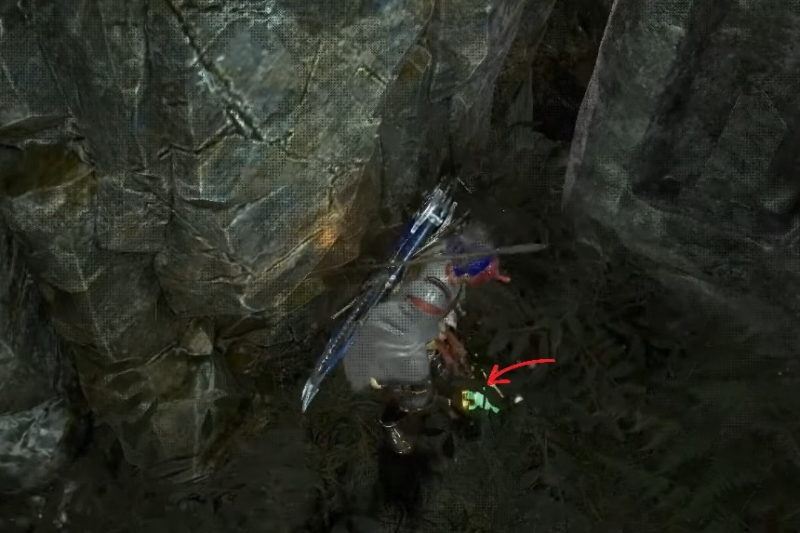 All Kodama Locations in Nioh 2