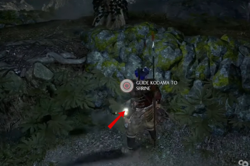 All Kodama Locations in Nioh 2