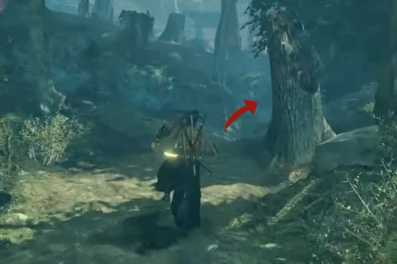 All Kodama Locations in Nioh 2