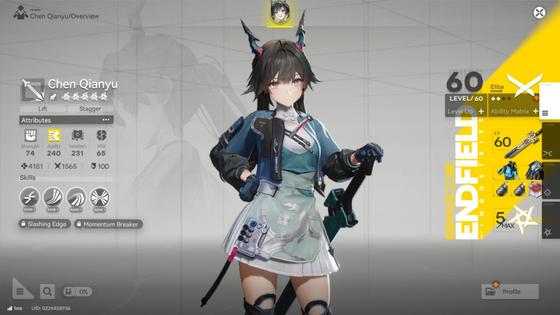 Arknights Endfield: Physical Damage Team Guide