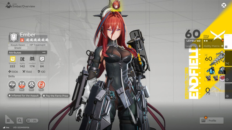 Arknights Endfield: Physical Damage Team Guide